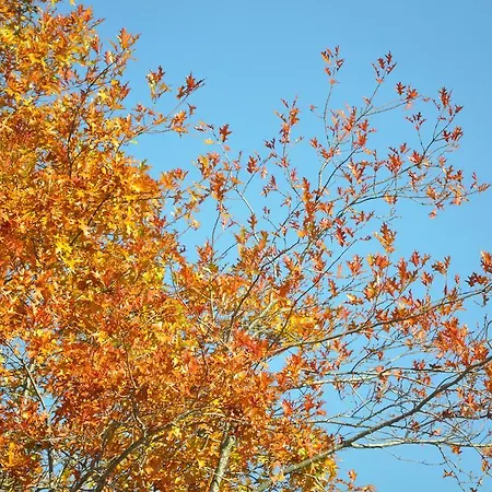 Ferienhaus Casa Do Alto